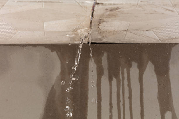 Professional Burst Pipe Cleanup technician working in Freeport, ME